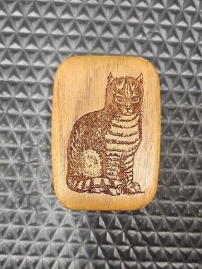 Wooden Cat Box With Slide Lid - Natural Tan
